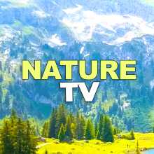 Природа релакс ТВ - тв канал для релакса и отдыха