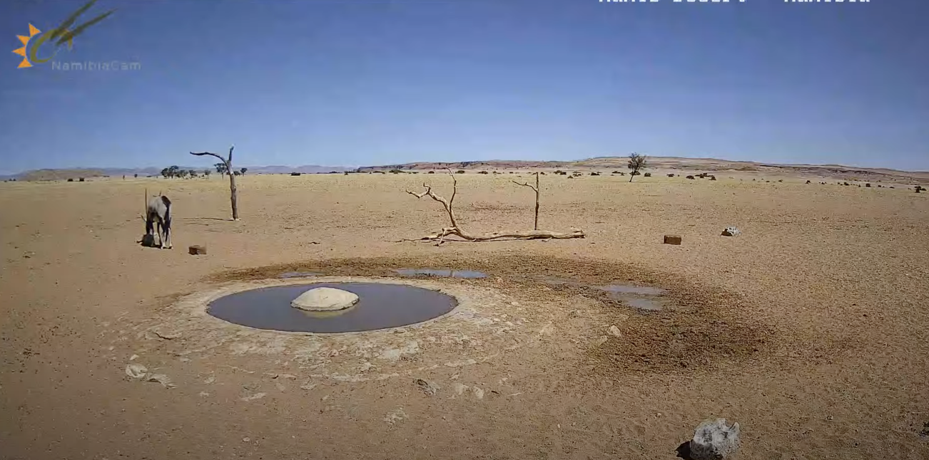 Вид с камеры на водопой в пустыне Намибии