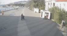 Камера показывает вид на Набережную Геленджика с видом на Краеведческий музей