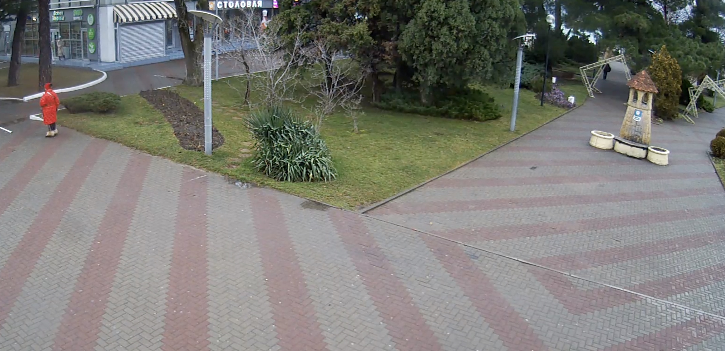 Трансляция с уличной камеры улицы Островского в центре Геленджика: вид сейчас
